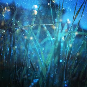 国产成人一区二区三区在线观看
